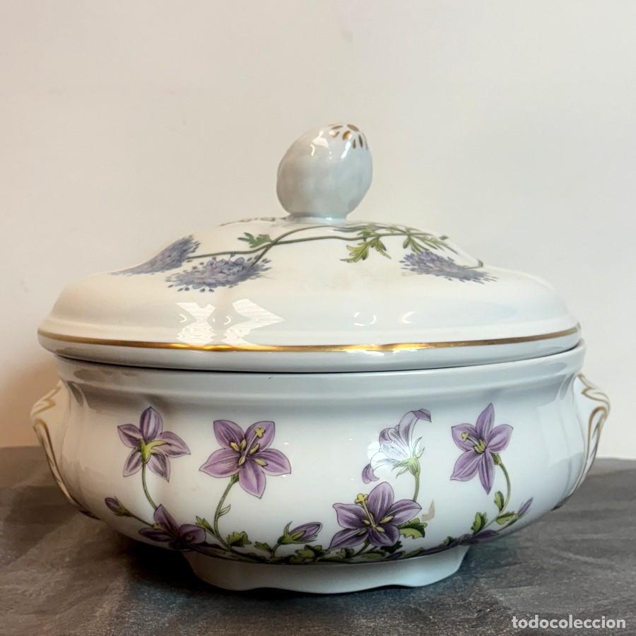 Antig&uuml;edades: Sopera Inglesa Marca Spode - Foto 1