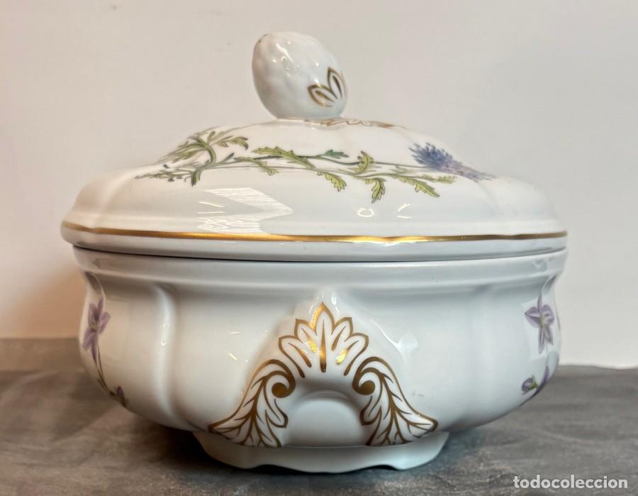Antig&uuml;edades: Sopera Inglesa Marca Spode - Foto 3