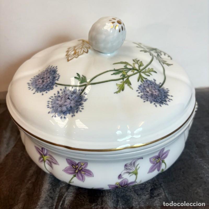 Antig&uuml;edades: Sopera Inglesa Marca Spode - Foto 7