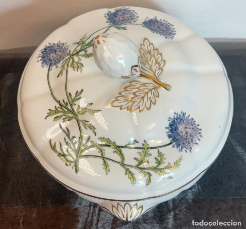Antig&uuml;edades: Sopera Inglesa Marca Spode - Foto 9