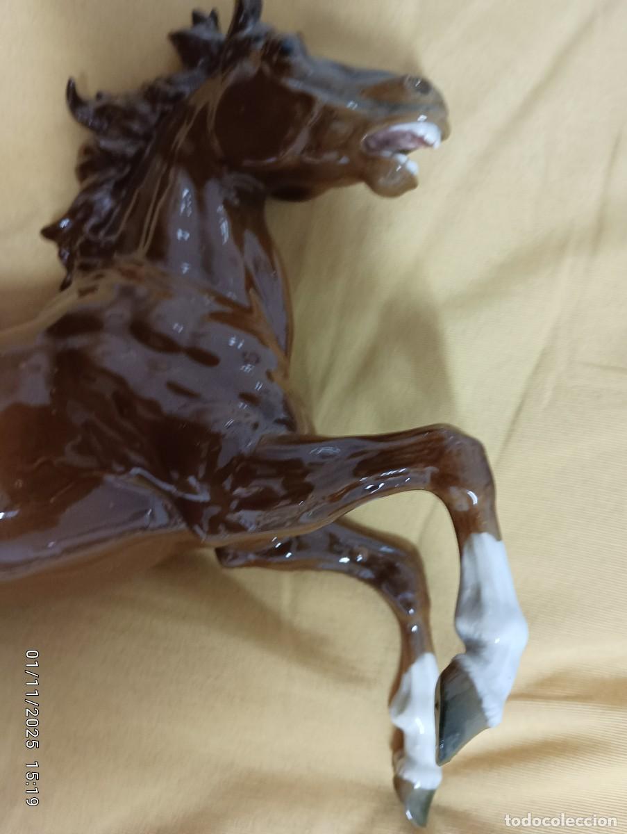 Antig&uuml;edades: ALGORA ,CABALLO MARRON ENCABRITADO ,NUEVO - Foto 8