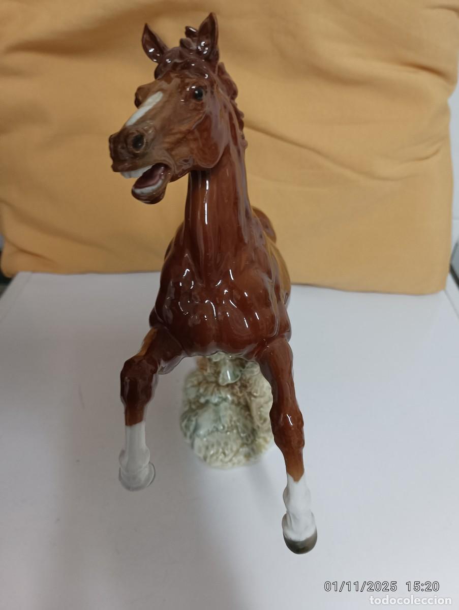 Antig&uuml;edades: ALGORA ,CABALLO MARRON ENCABRITADO ,NUEVO - Foto 12