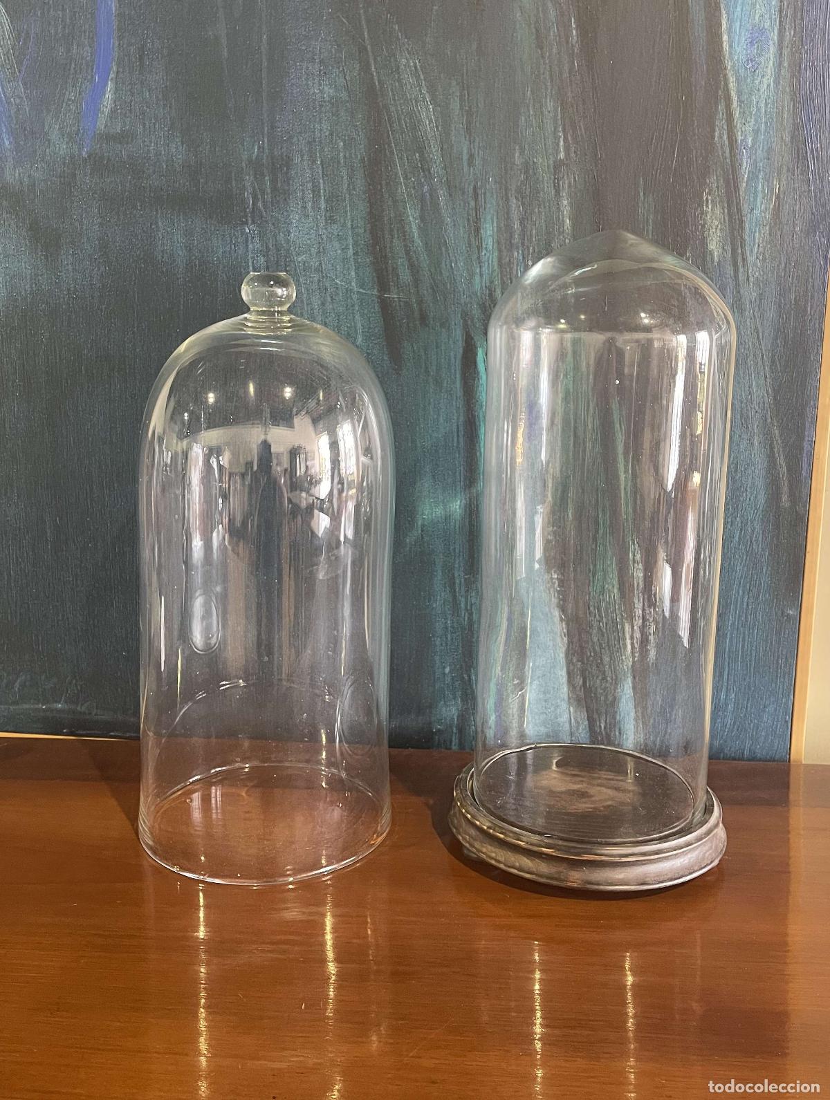 Antig&uuml;edades: DOS C&Uacute;PULAS - Foto 1