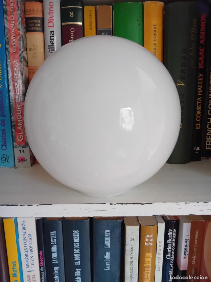 Antig&uuml;edades: Tulipa tipo globo blanco d&eacute;cada de los 60 - Foto 1