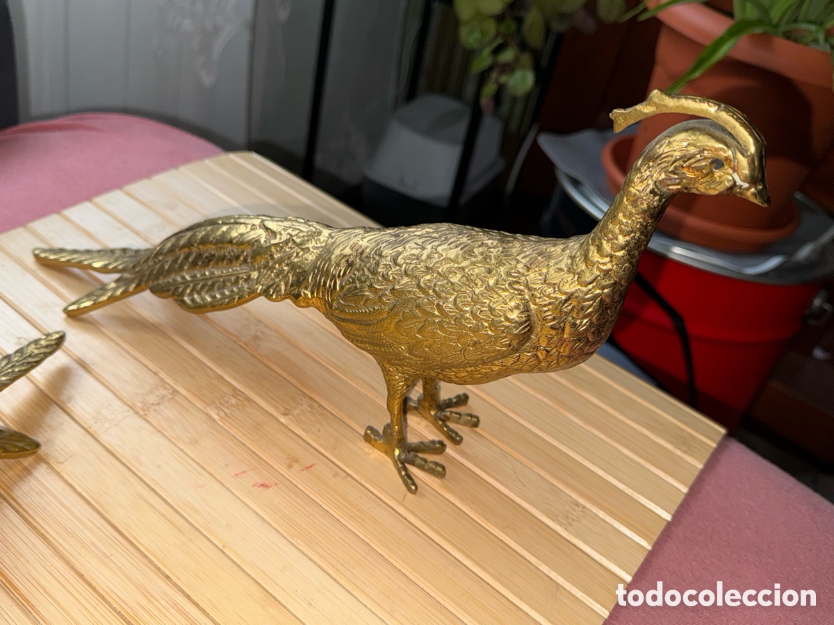 Antig&uuml;edades: Pareja de faisanes en bronce - Foto 5