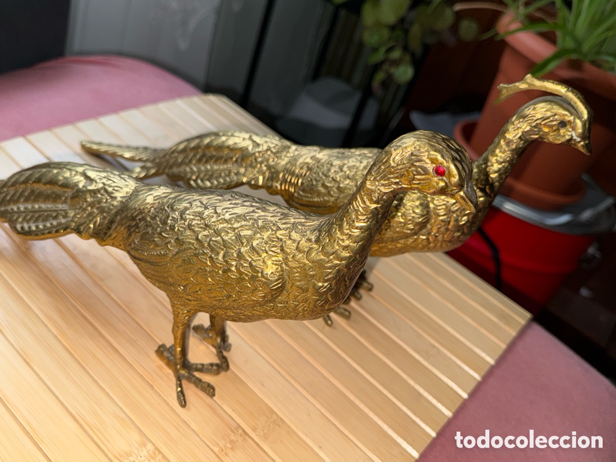 Antig&uuml;edades: Pareja de faisanes en bronce - Foto 6