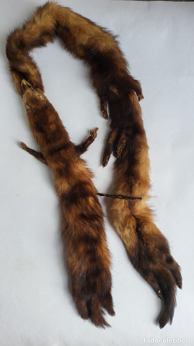 Antig&uuml;edades: CUELLO ESTOLA, ECHARPE O CHAL DE PIEL - Foto 2