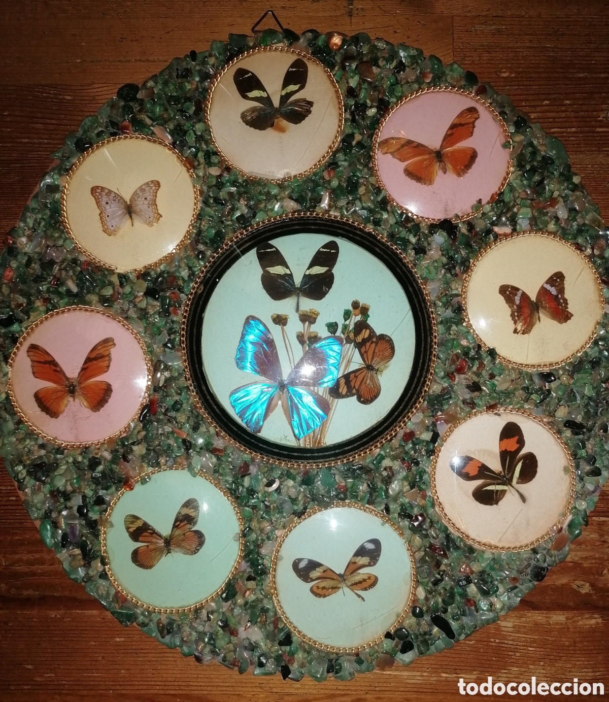 Antig&uuml;edades: Antiguo cuadro con mariposas disecadas - Foto 2