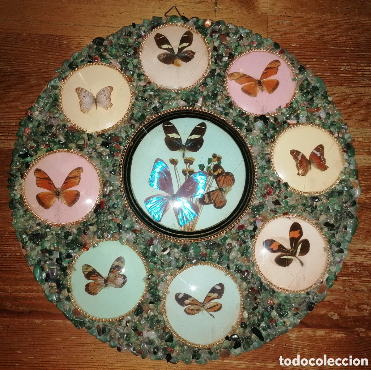 Antig&uuml;edades: Antiguo cuadro con mariposas disecadas - Foto 1