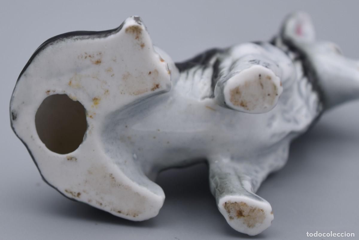 Antig&uuml;edades: Perro de porcelana - Figura - Foto 6
