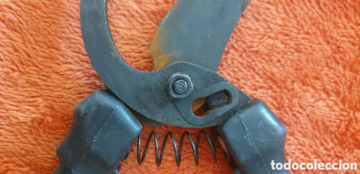 Antig&uuml;edades: Antiguo conjunto de esquilado en su estuche. - Foto 20