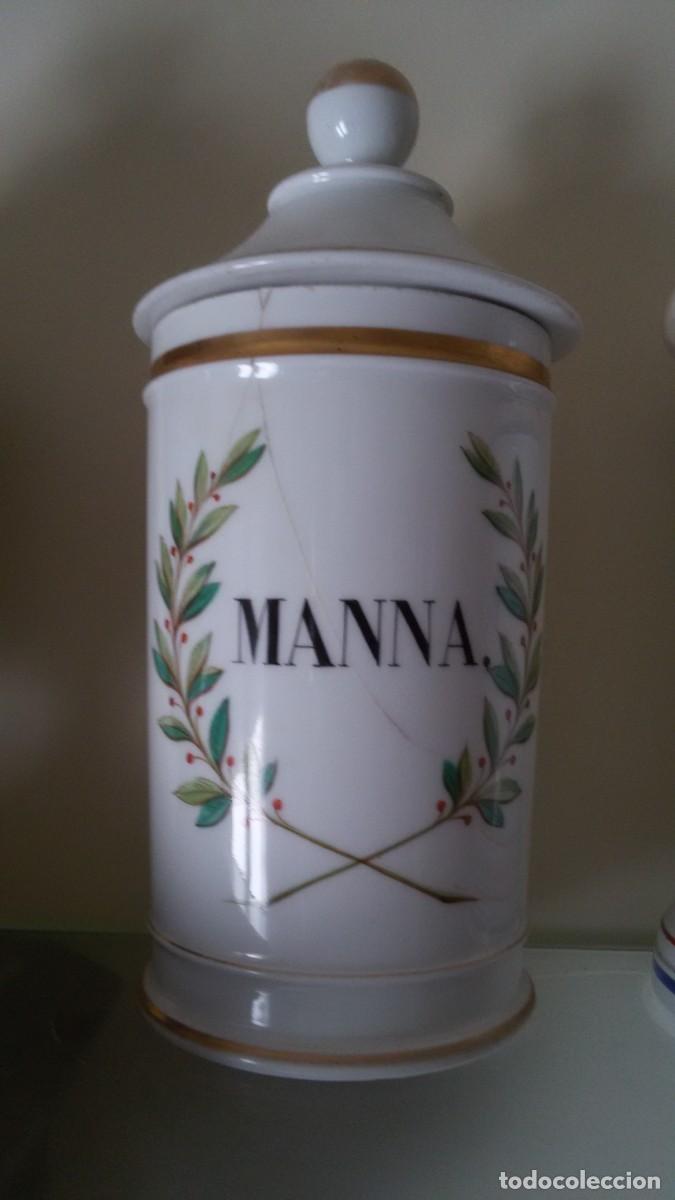 Antig&uuml;edades: Tarro de farmacia Manna - Foto 1