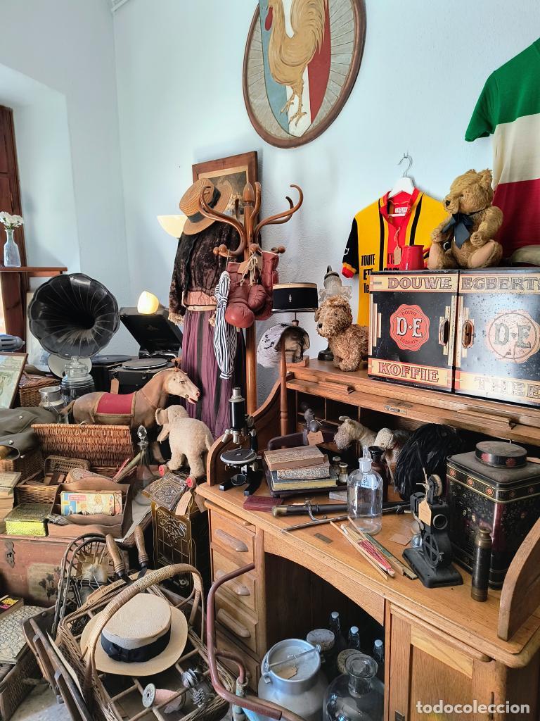 Antig&uuml;edades: Tienda de antig&uuml;edades completa - Foto 1