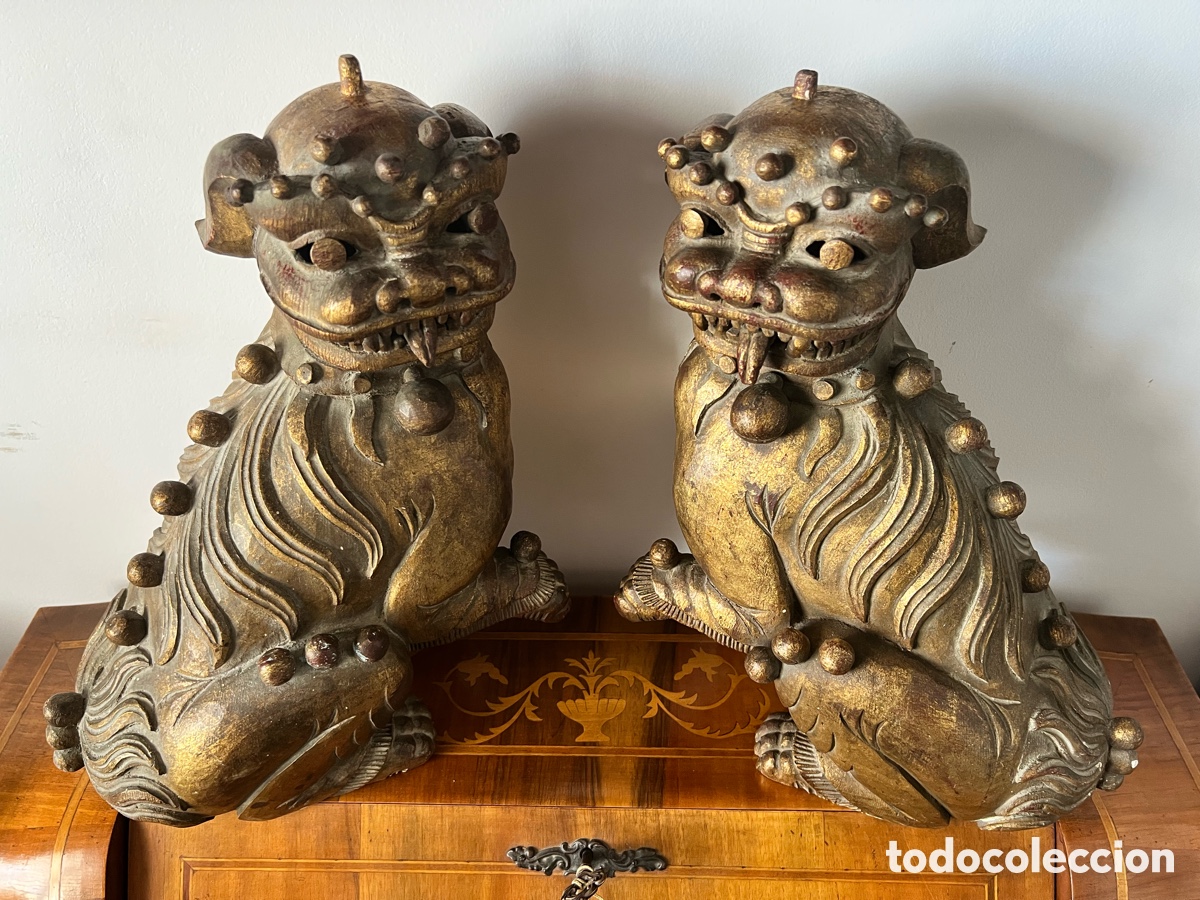 Antig&uuml;edades: 石獅 Gran Pareja de perros fu 石獅 - Foto 3