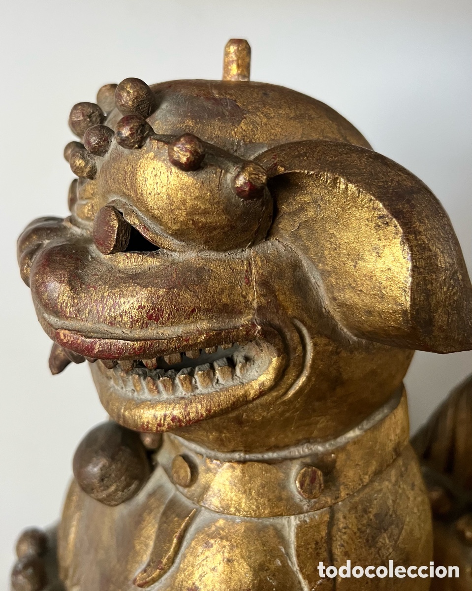 Antig&uuml;edades: 石獅 Gran Pareja de perros fu 石獅 - Foto 6