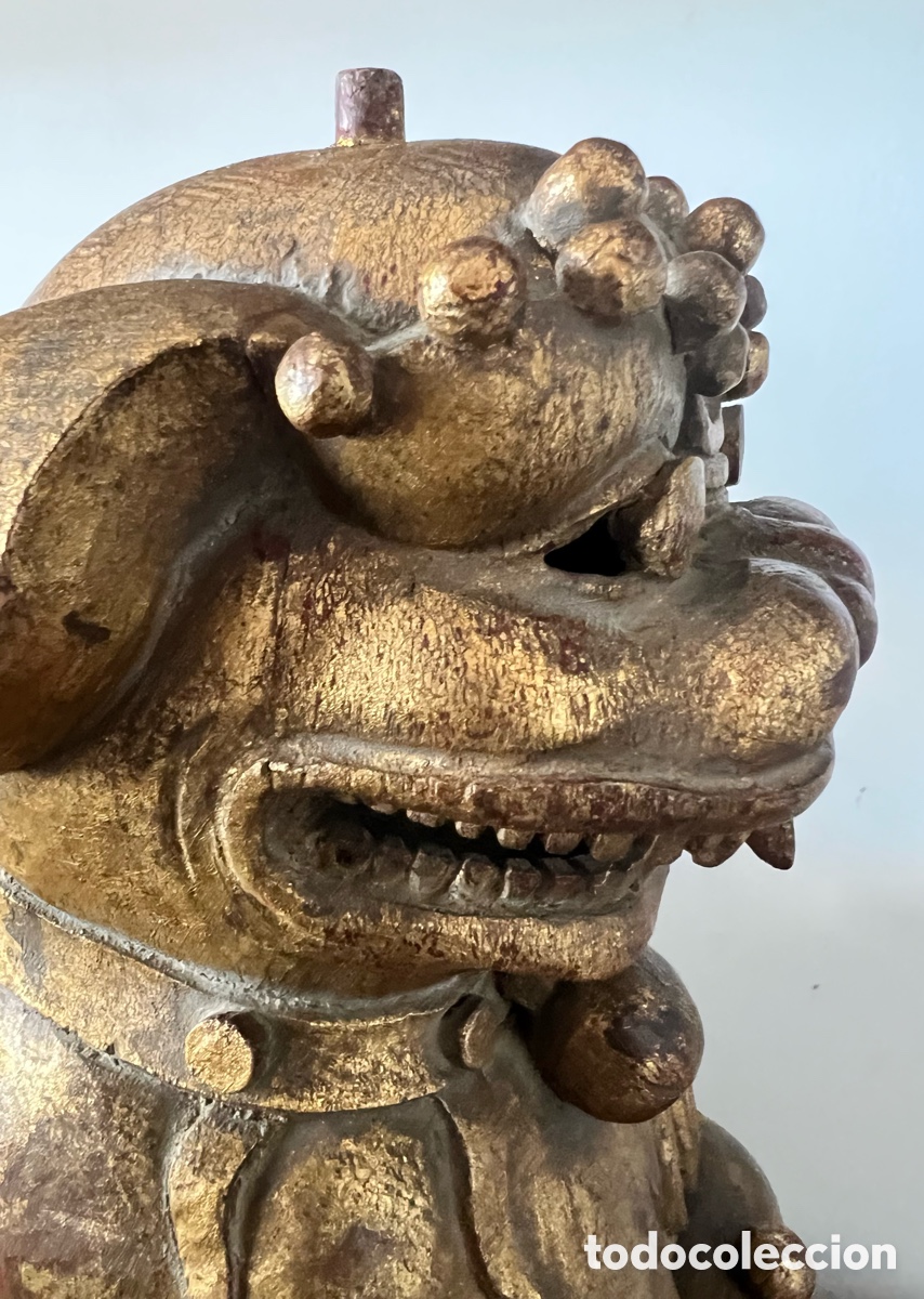 Antig&uuml;edades: 石獅 Gran Pareja de perros fu 石獅 - Foto 9