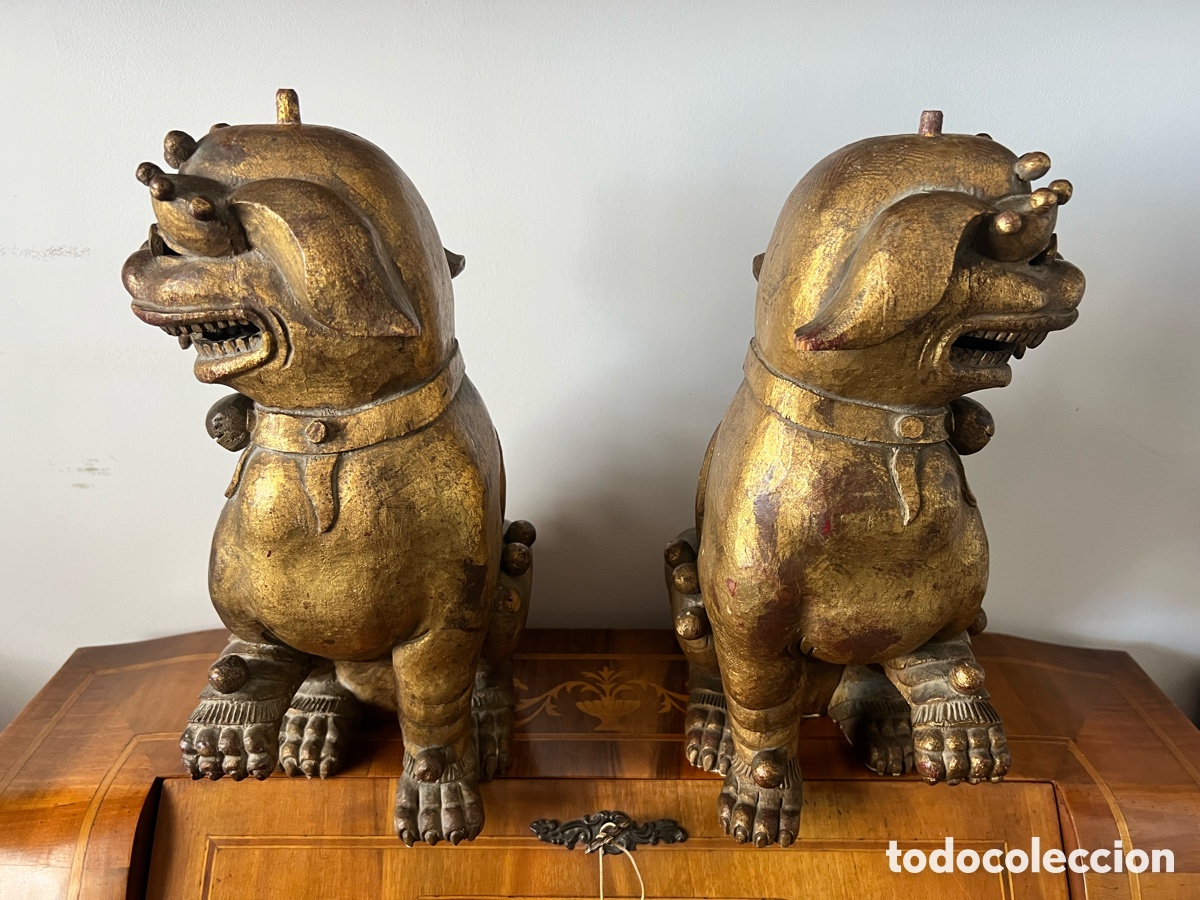 Antig&uuml;edades: 石獅 Gran Pareja de perros fu 石獅 - Foto 11