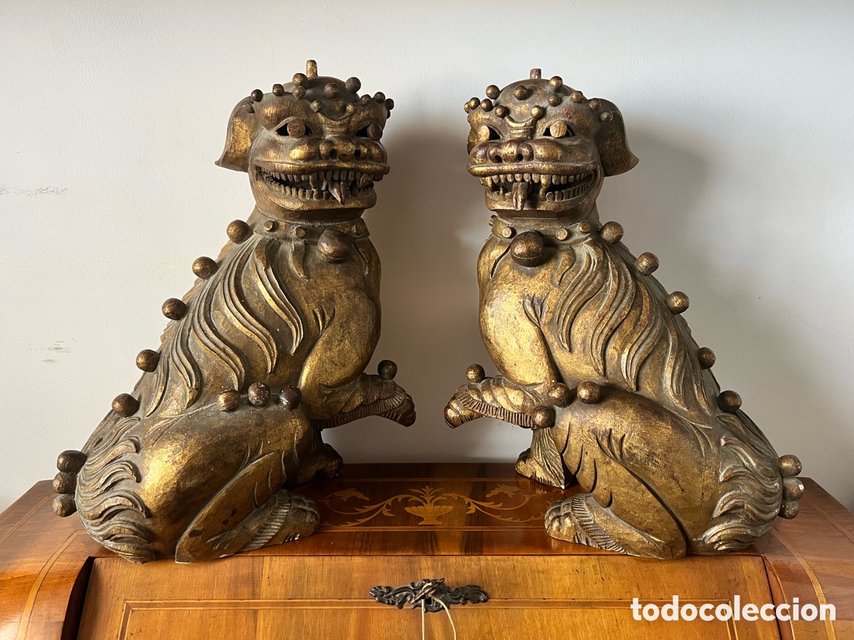 Antig&uuml;edades: 石獅 Gran Pareja de perros fu 石獅 - Foto 12