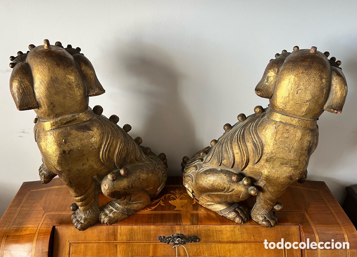 Antig&uuml;edades: 石獅 Gran Pareja de perros fu 石獅 - Foto 13