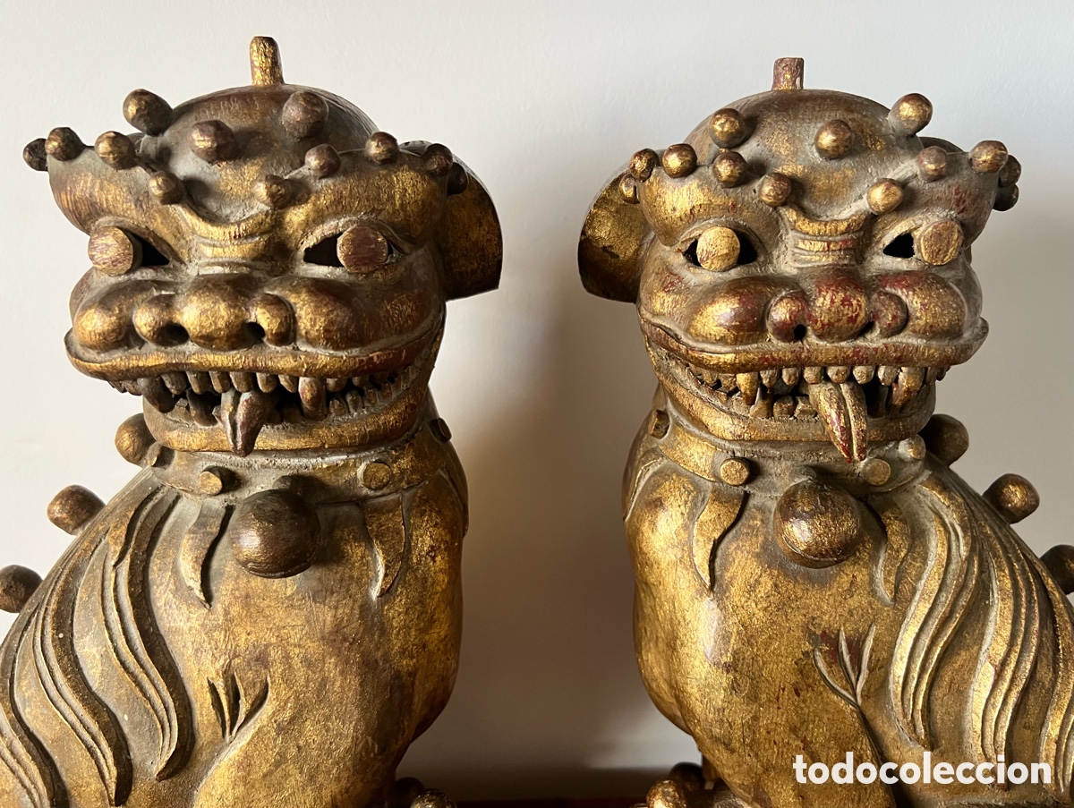 Antig&uuml;edades: 石獅 Gran Pareja de perros fu 石獅 - Foto 15
