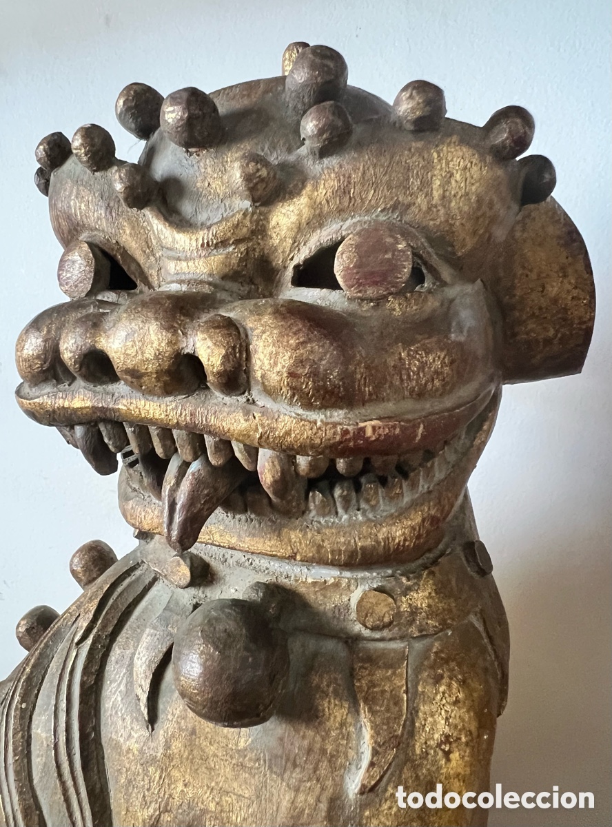 Antig&uuml;edades: 石獅 Gran Pareja de perros fu 石獅 - Foto 18