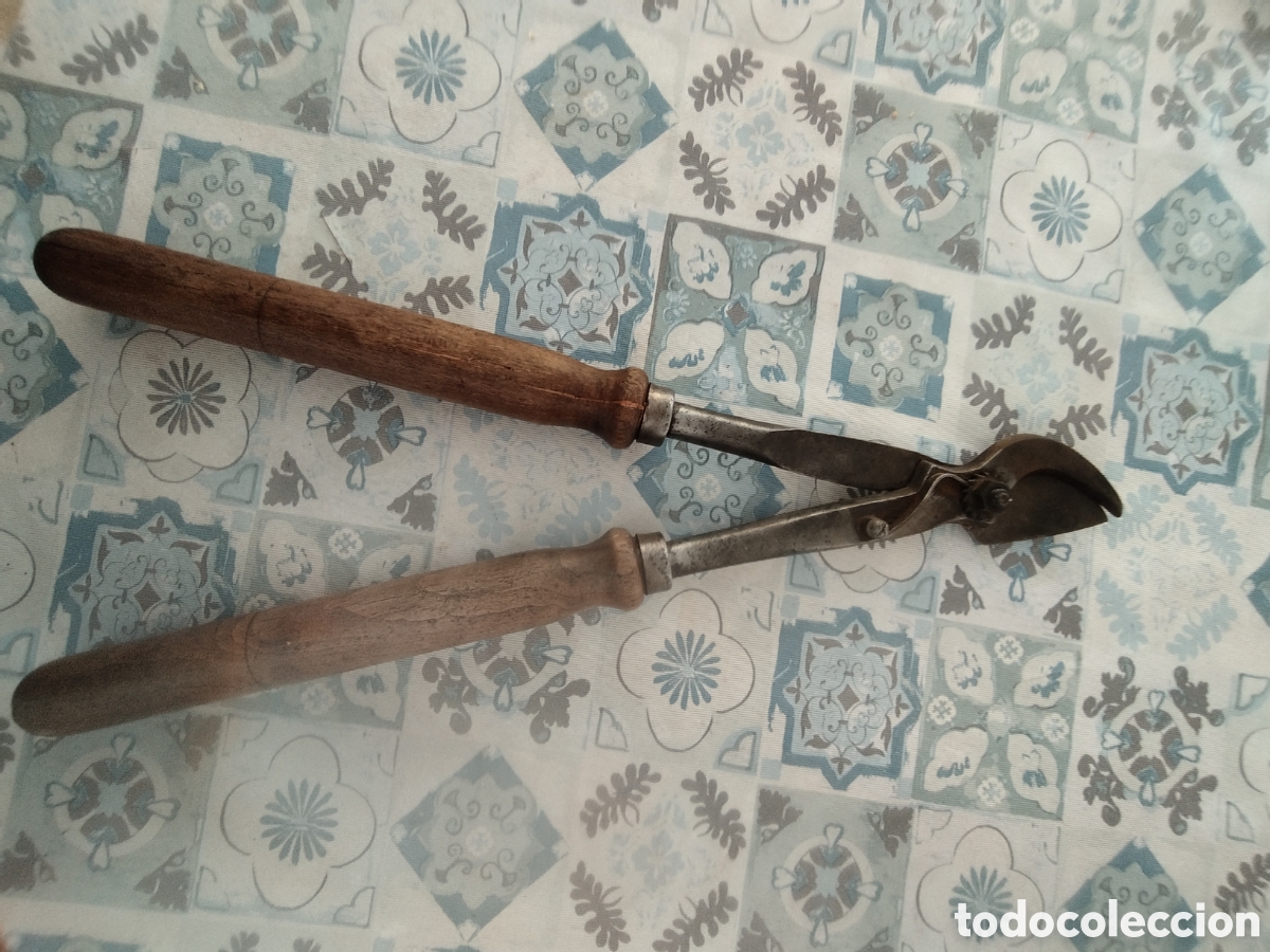 Antig&uuml;edades: Tijeras de podar Auste Estana - Foto 1