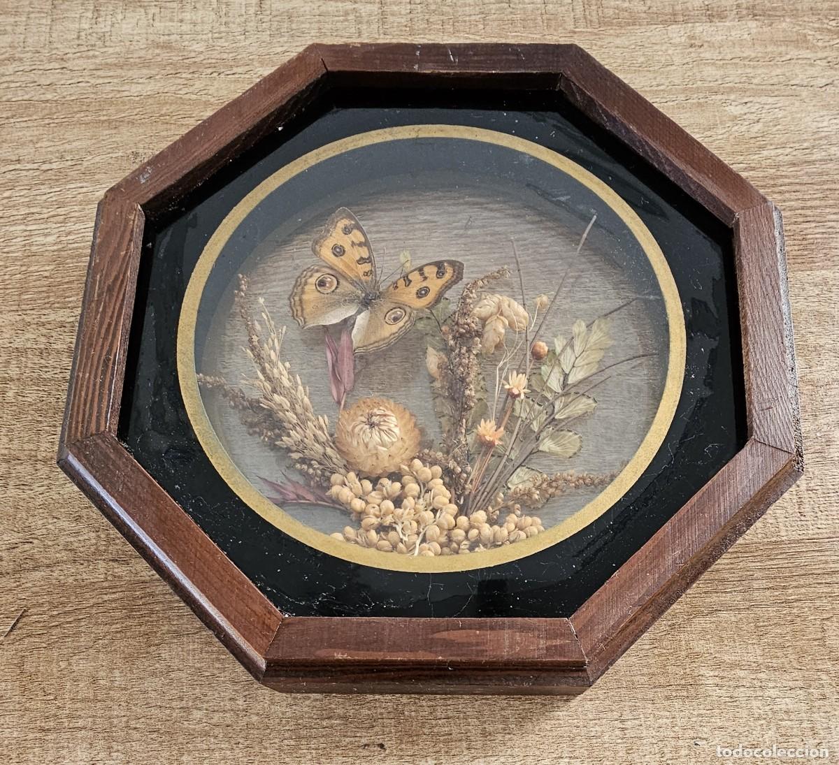 Antig&uuml;edades: COMPOSICI&Oacute;N ENMARCADA DE MARIPOSAS Y PLANTAS - Foto 1