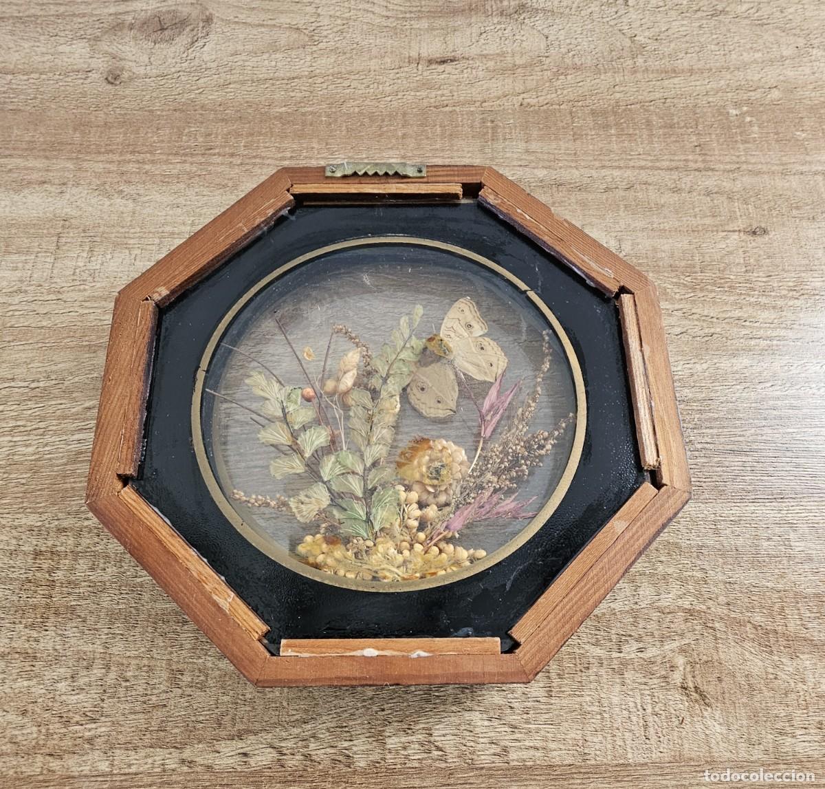 Antig&uuml;edades: COMPOSICI&Oacute;N ENMARCADA DE MARIPOSAS Y PLANTAS - Foto 2
