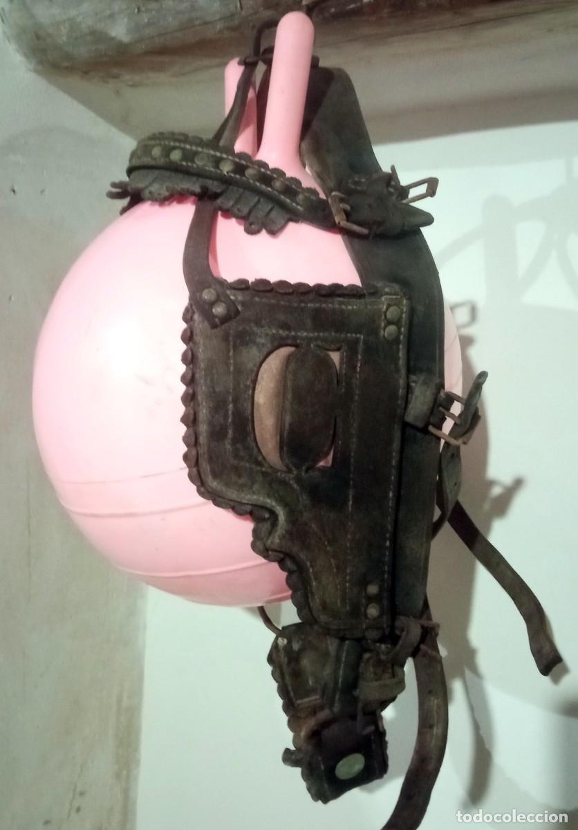 Antig&uuml;edades: Antiguo cabezal de mula de cuero - Foto 1