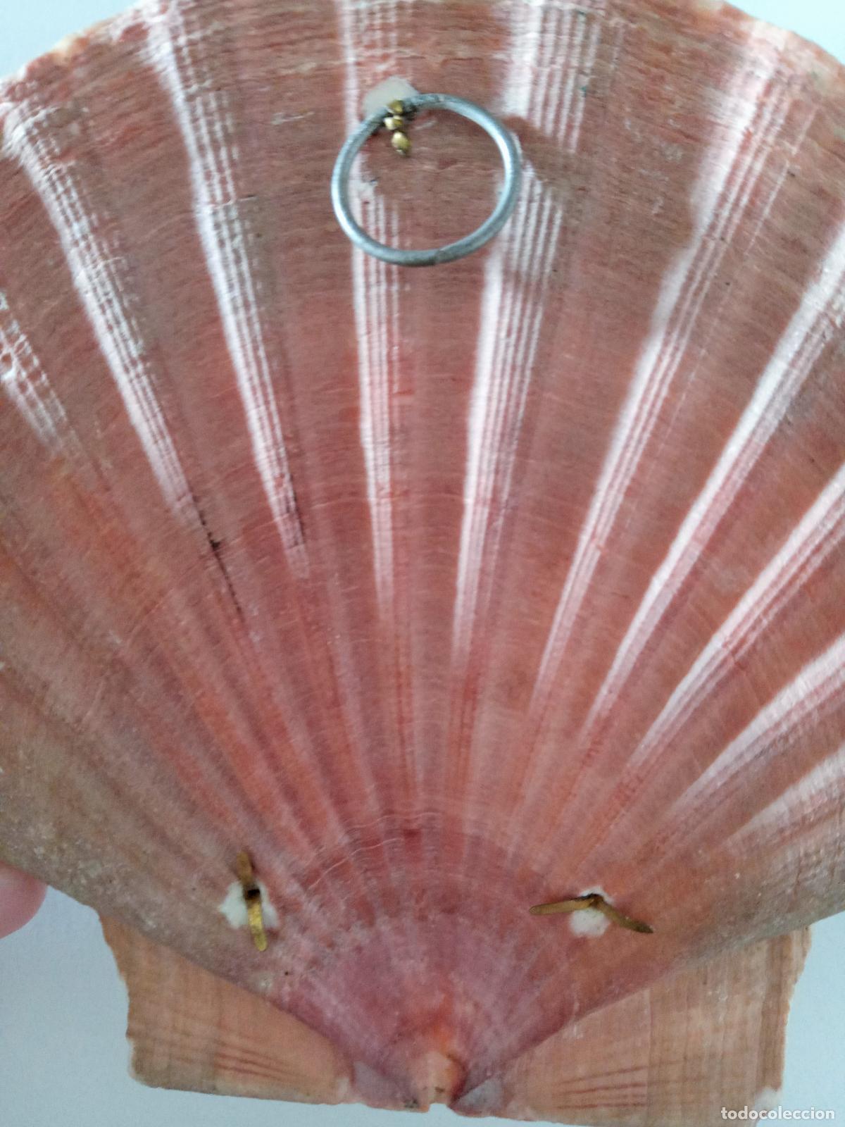Antig&uuml;edades: BENDITERA SOBRE UNA CONCHE DE VIERA - Foto 3