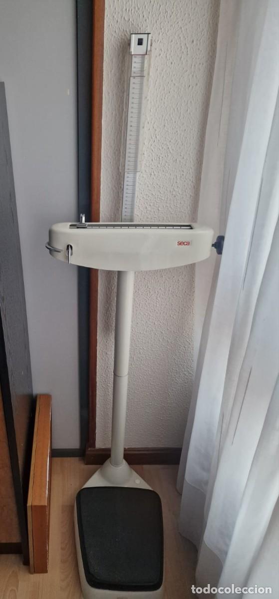 Antig&uuml;edades: BASCULA VERTICAL DE FARMACIA SECA. - Foto 1