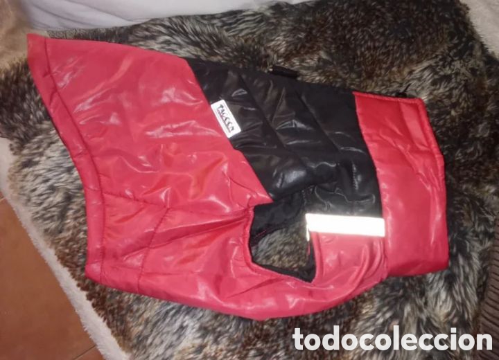 Antig&uuml;edades: CHAQUETA DE PERRO NUEVA - Foto 4