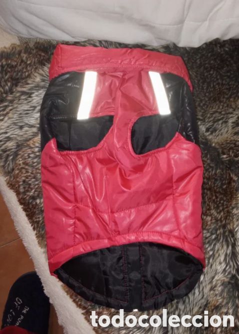 Antig&uuml;edades: CHAQUETA DE PERRO NUEVA - Foto 5