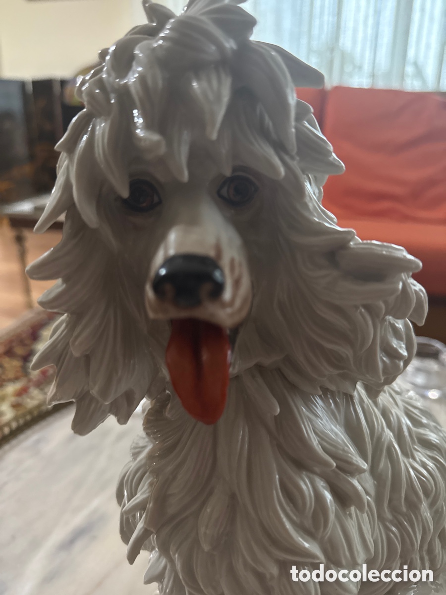 Antig&uuml;edades: Perro porcelana Algora - Foto 2