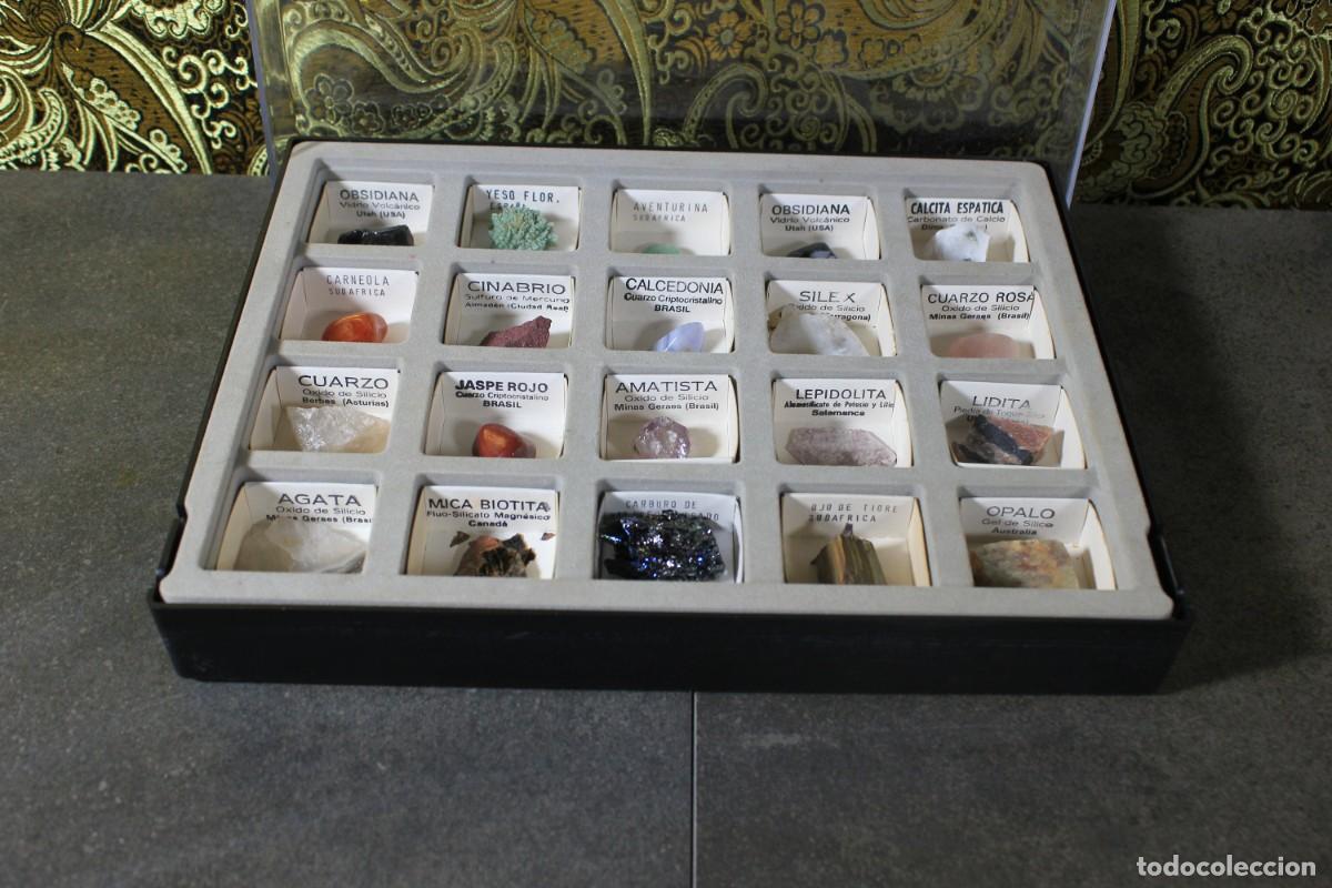 Antiques: Expositor de Minerales, Caja con Minerales, Conjunto