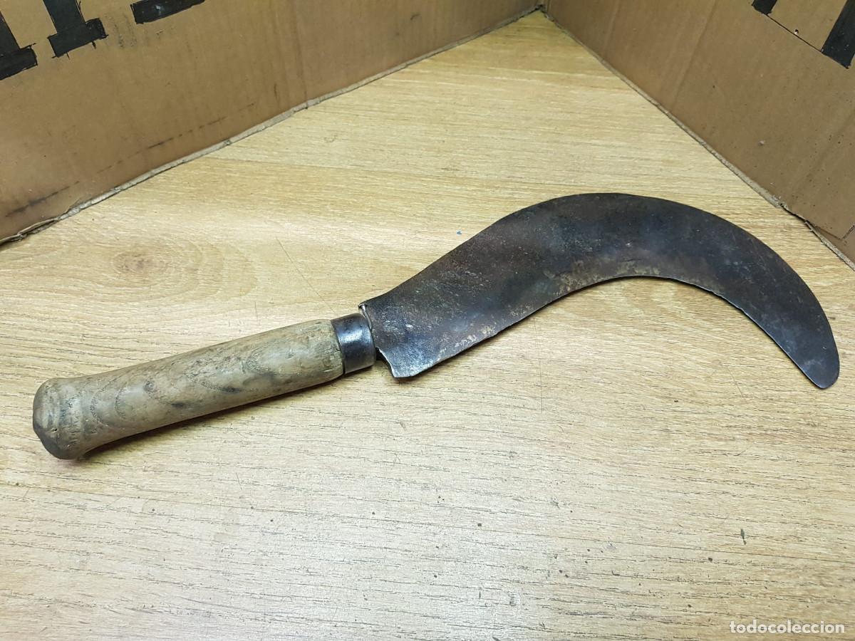 Antig&uuml;edades: ANTIGUA HOZ-24 CM DE HOJA - Foto 1