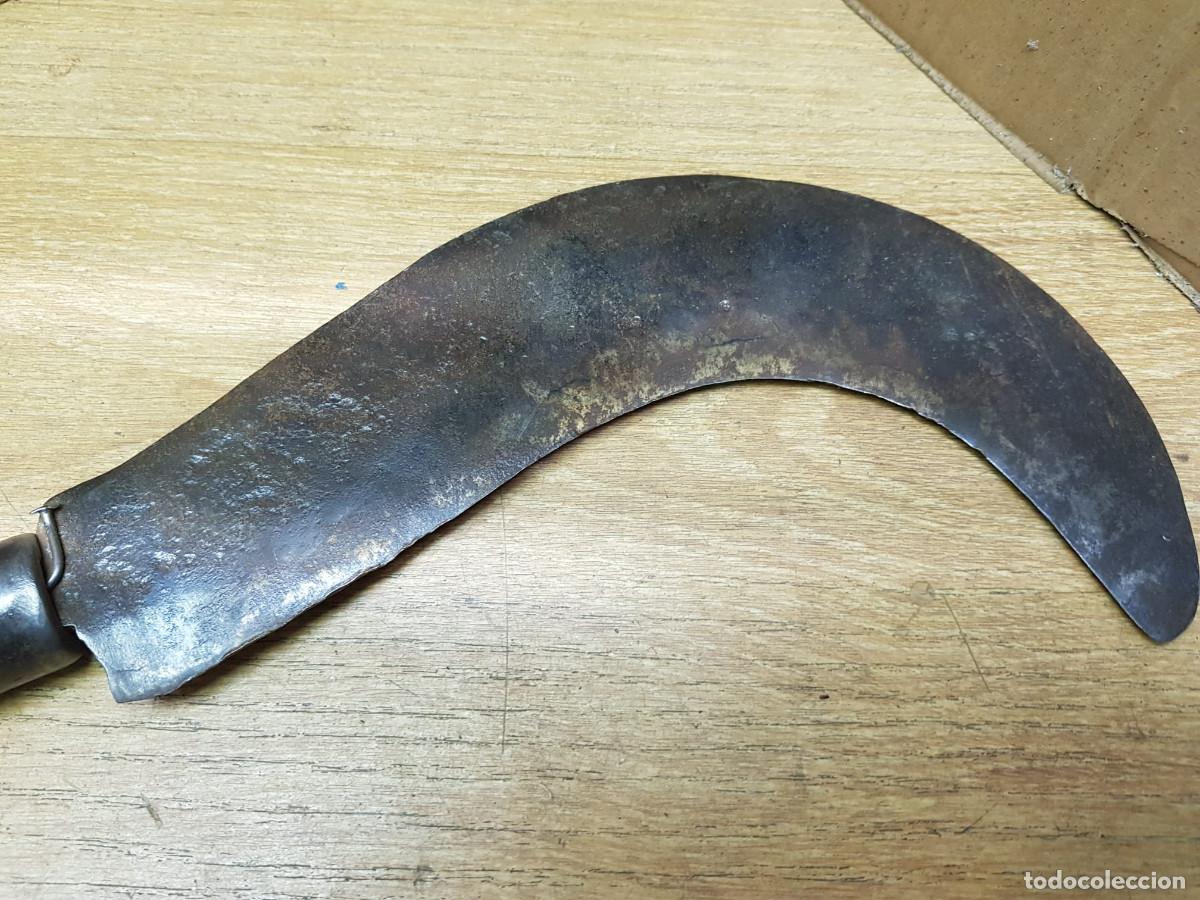 Antig&uuml;edades: ANTIGUA HOZ-24 CM DE HOJA - Foto 2