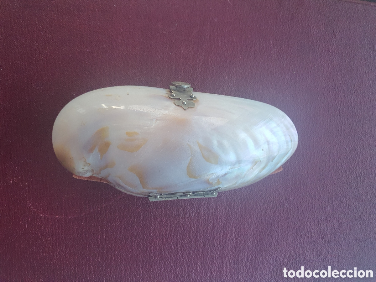 Antig&uuml;edades: monedero concha. Virgen Rafael - Foto 5