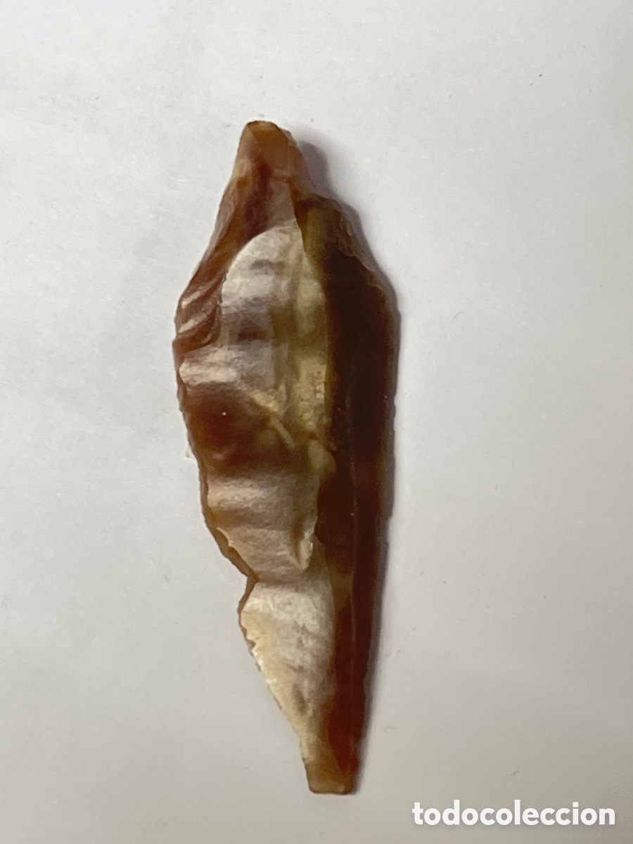 Antiquit&eacute;s: Punta afilada de Piedra Xilex /Ff17-5