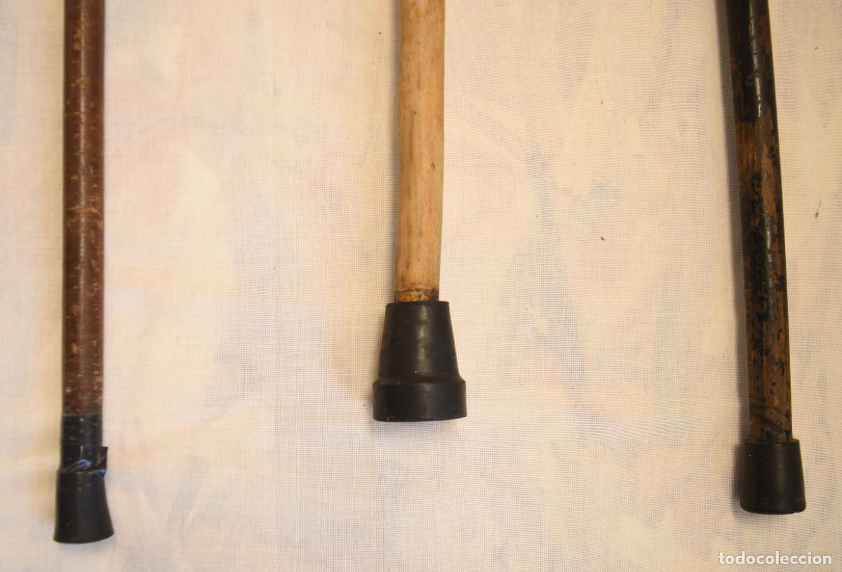 Antig&uuml;edades: Bastones antiguos (3) - Foto 5
