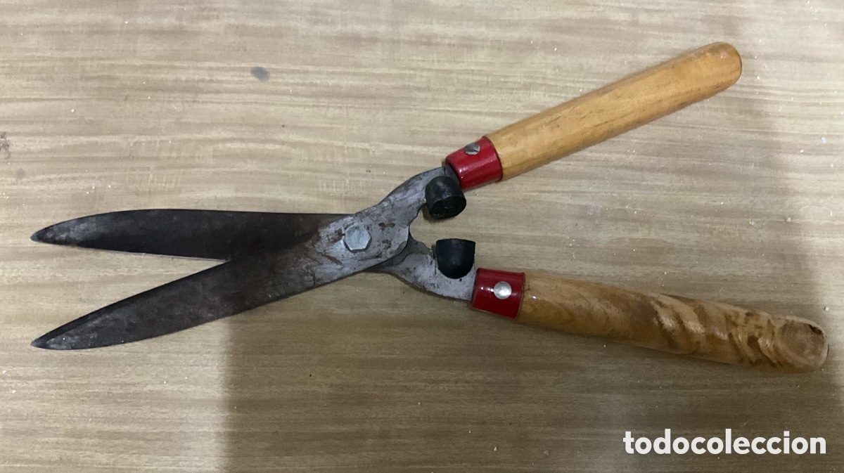 Antig&uuml;edades: TIJERAS CORTA SETOS. MANGO DE MADERA - Foto 1