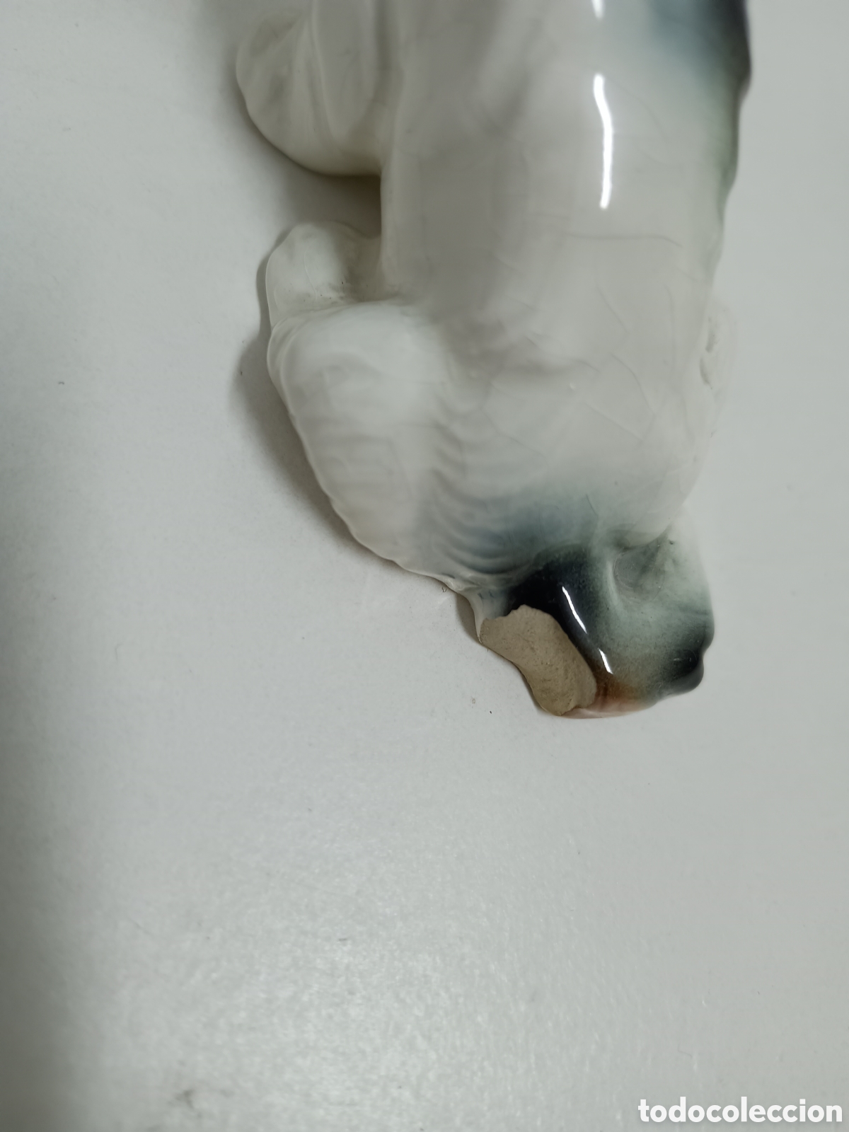 Antig&uuml;edades: 3 PERRITOS TERRIER DE PORCELANA - Foto 14
