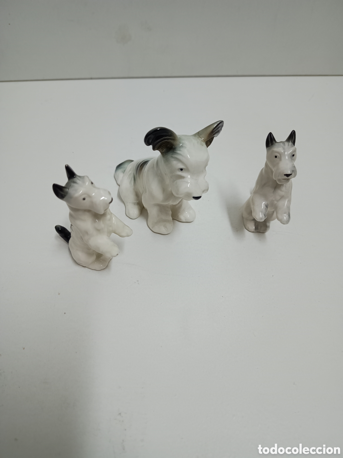Antig&uuml;edades: 3 PERRITOS TERRIER DE PORCELANA - Foto 1