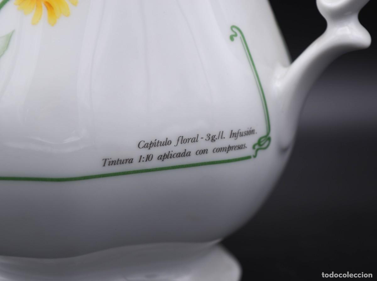 Antig&uuml;edades: Tetera de porcelana - Flora - Foto 5