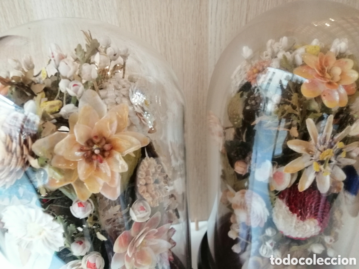 Antig&uuml;edades: Urnas C&uacute;pula De Cristal Y Madera Con Flores - Foto 5