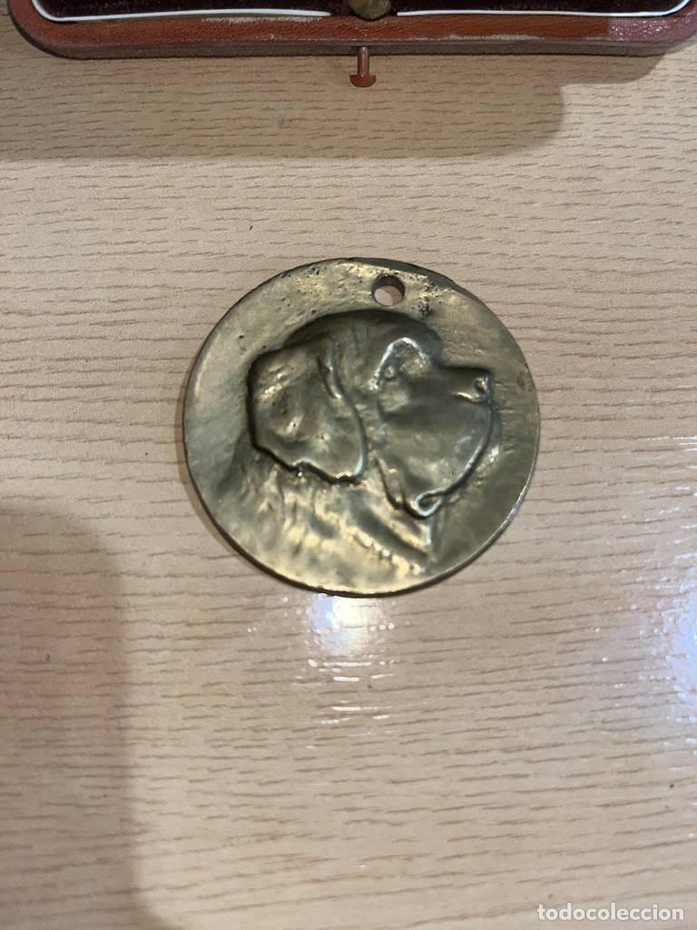 Antig&uuml;edades: MEDALLA DE BRONCE.... - Foto 5