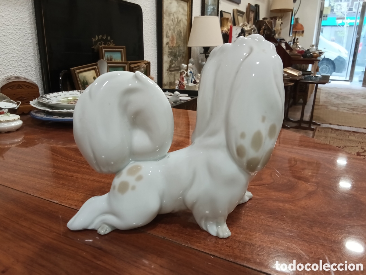 Antig&uuml;edades: Perrita coqueta Lladro - Foto 2