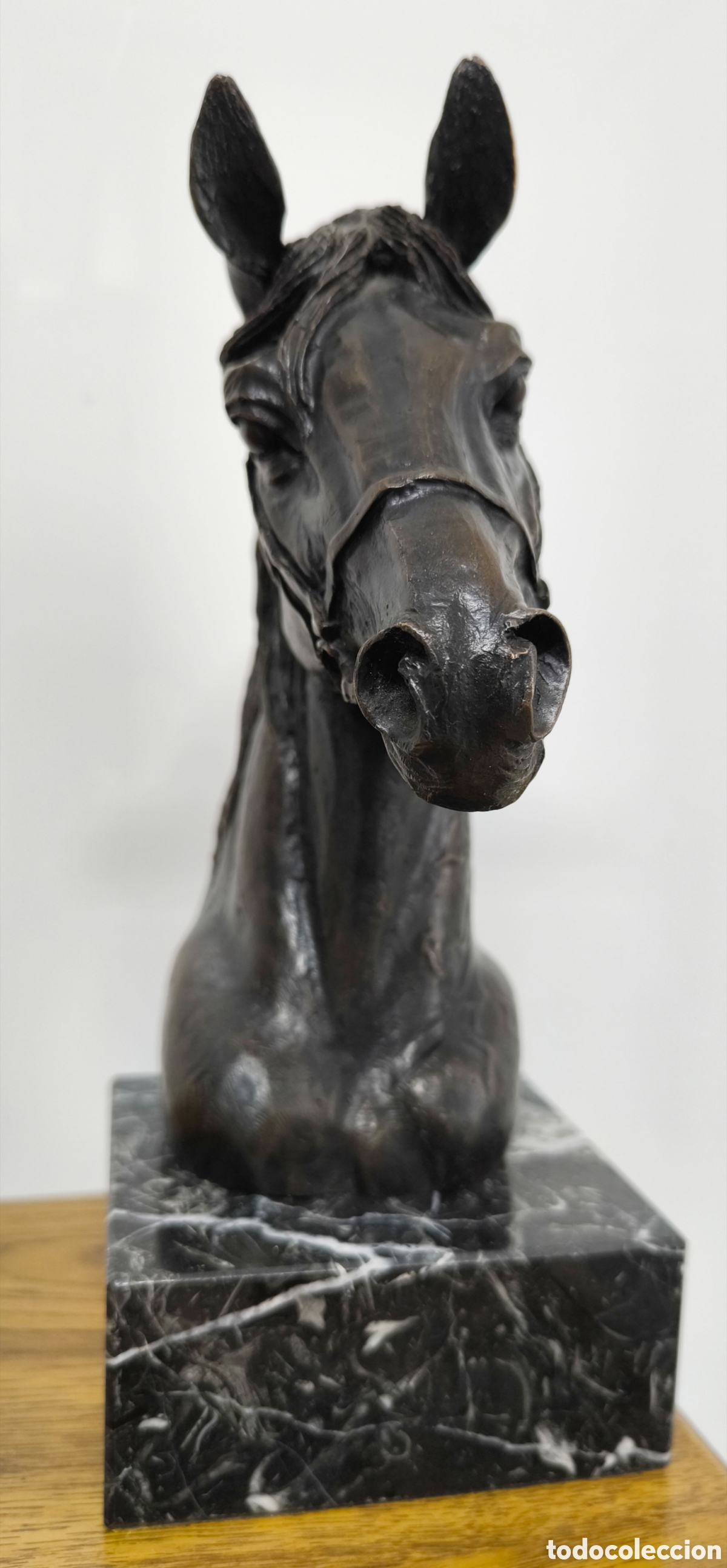 Antig&uuml;edades: GRAN CABEZA DE CABALLO BRONCE - Foto 2