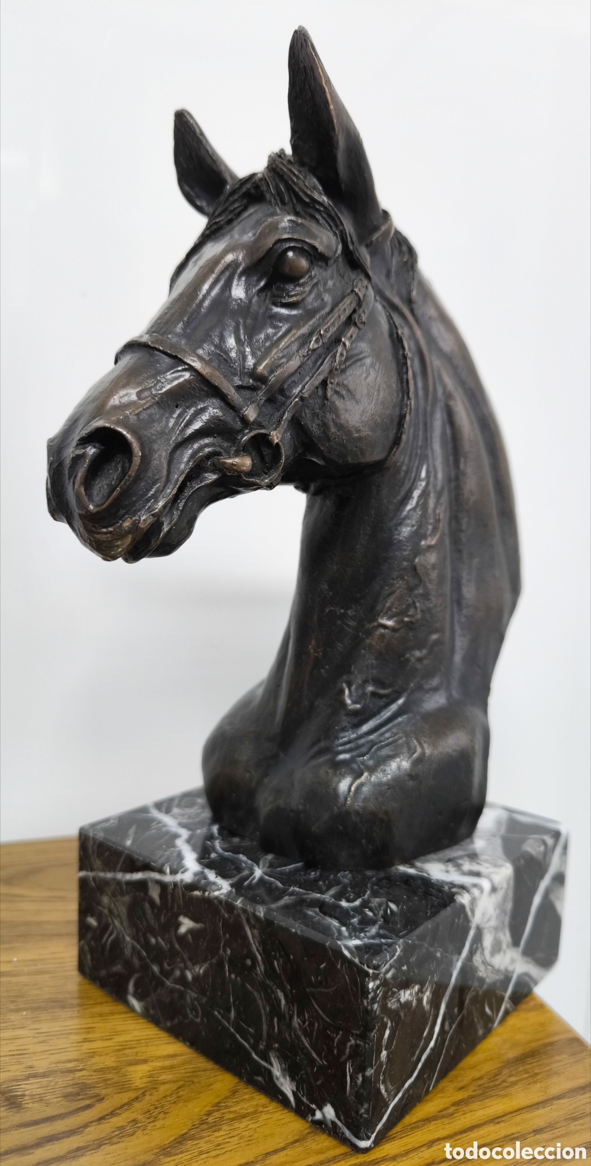 Antig&uuml;edades: GRAN CABEZA DE CABALLO BRONCE - Foto 4