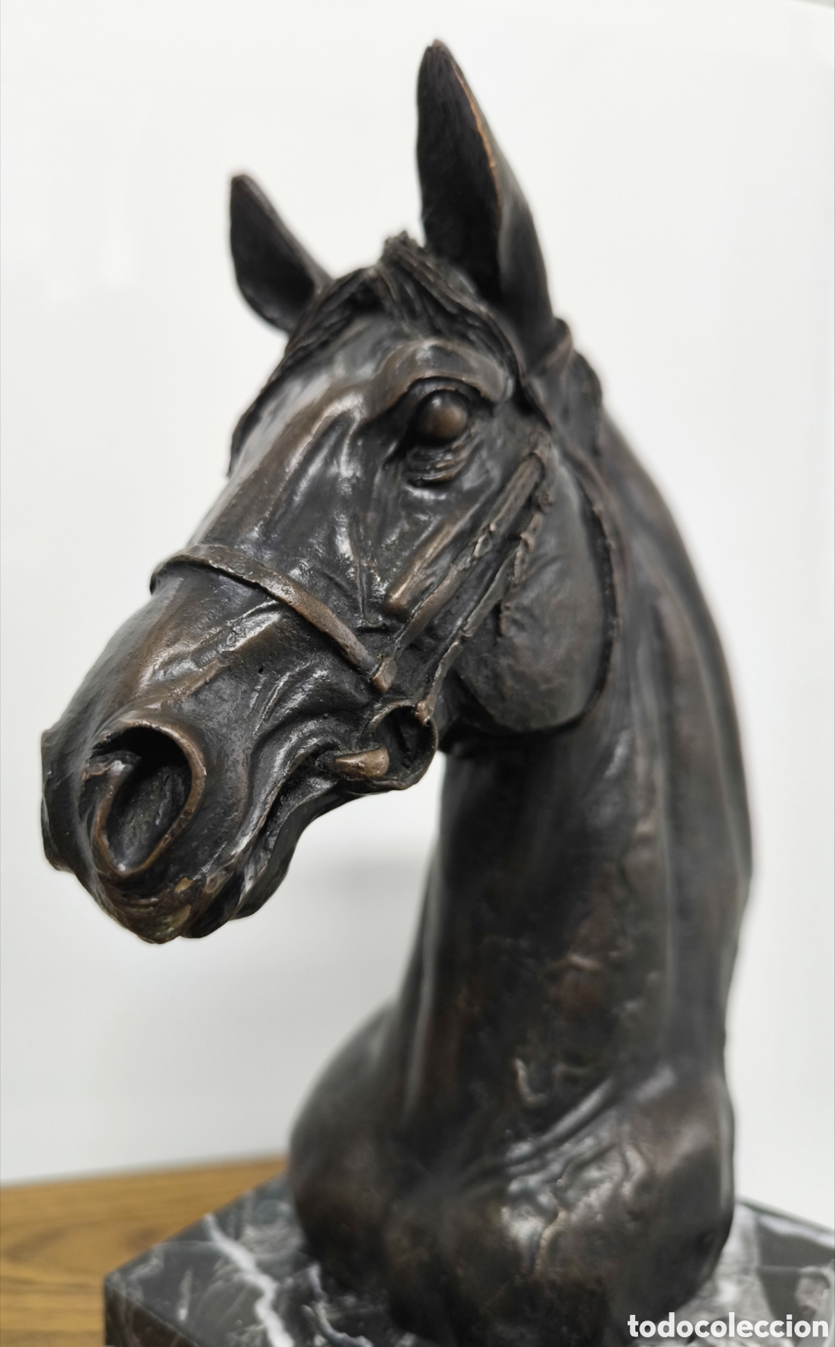 Antig&uuml;edades: GRAN CABEZA DE CABALLO BRONCE - Foto 5